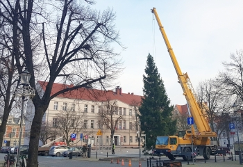 Urzd Miejski w Wolsztynie