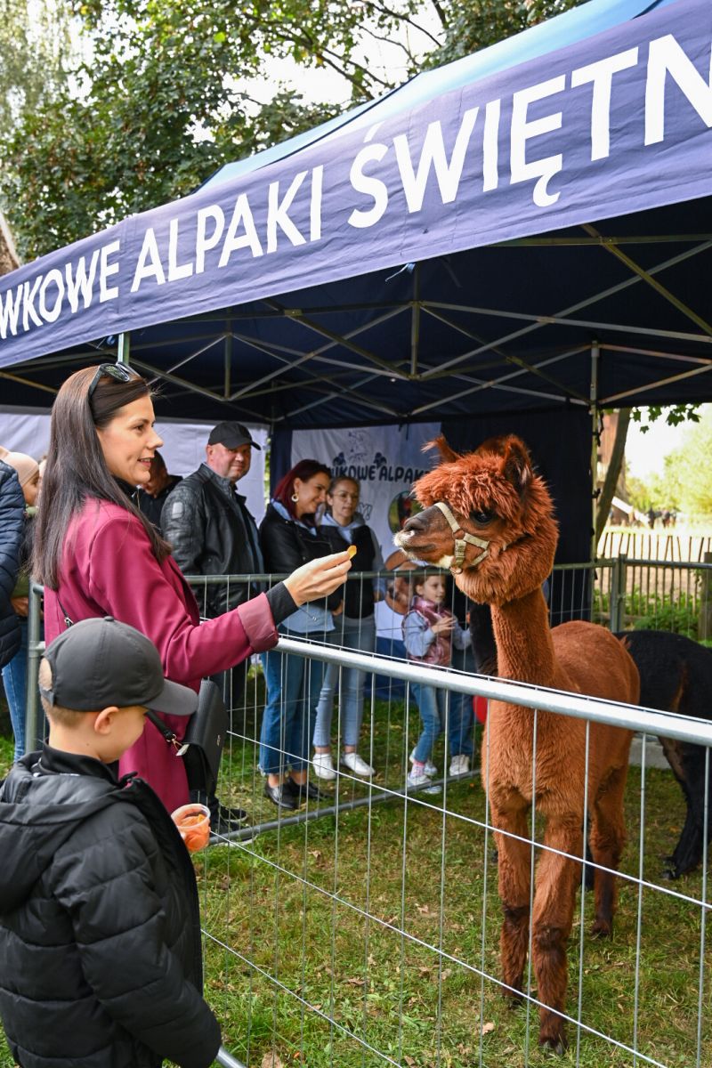 Urzd Miejski w Wolsztynie